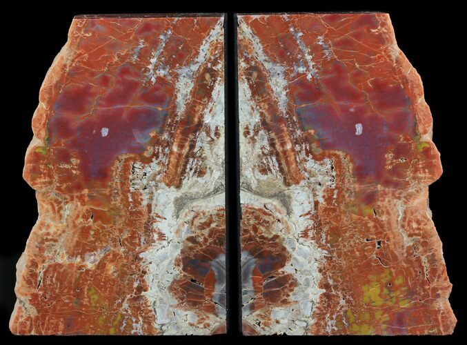 Tall, Colorful, Arizona Petrified Wood Bookends #65963